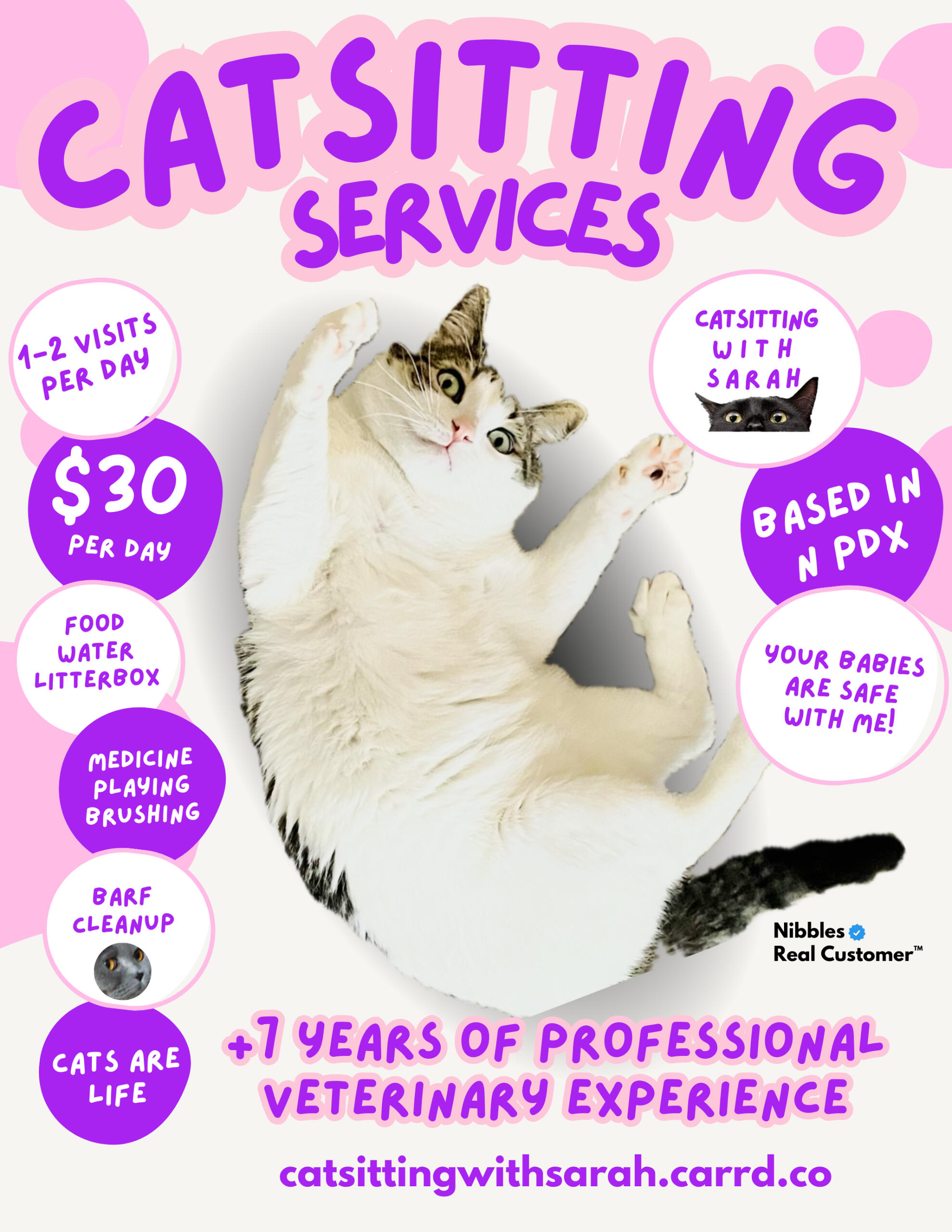 Catsitting With Sarah Flyer